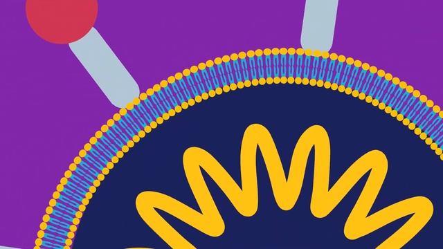 How does alcohol (hand sanitizer) kill corona virus? смотреть онлайн