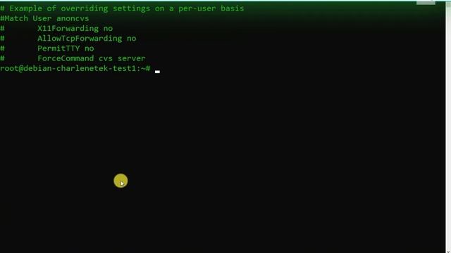 PORT 22 LINUX DEBIAN 11#debian #ssh#sshd#unix#linux смотреть онлайн