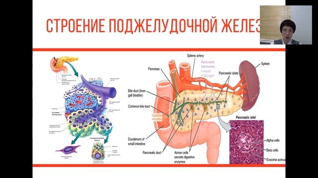 Запись вебинара, 7 сентября 2017 г. смотреть онлайн