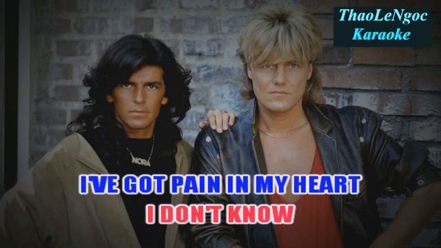 30 - Cheri Cheri Lady - Karaoke - ThaoLengoc