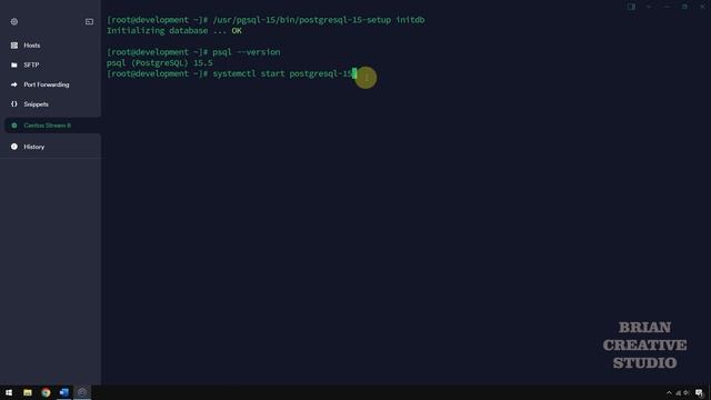 Install PostgreSQL 15 di CentOS Stream 8 смотреть онлайн