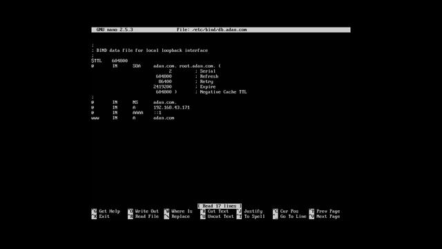 Instalasi DNS server di Linux Ubuntu смотреть онлайн