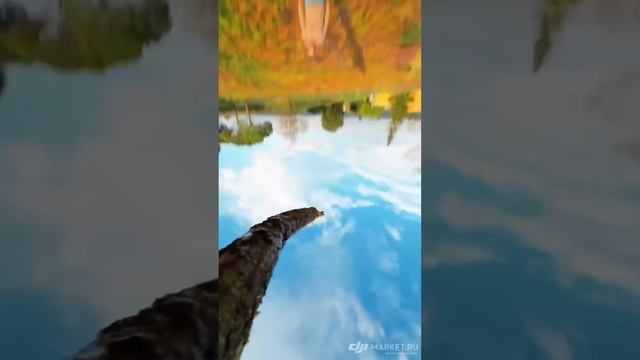 Увлекательная прогулка #dji #новостиdji #фотоdji #гаджеты #dgiacttion2 #дроныdji #drone #fpv смотреть онлайн