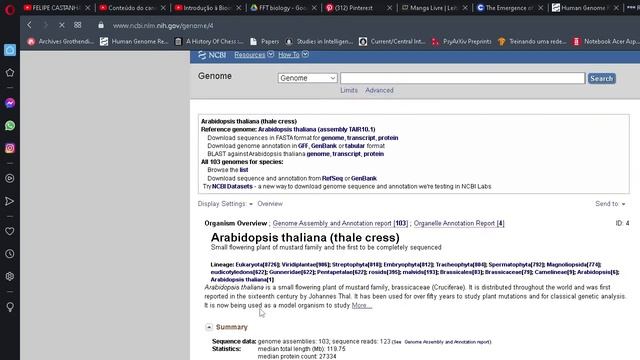 Introdução à Bioinformática: Principais comandos e gerenciamento de arquivos no linux смотреть онлайн