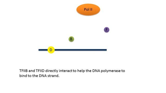 Presentation1 genetics wiki project.wmv смотреть онлайн