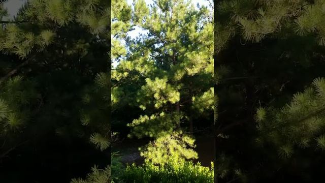 Have A Seat #seat #table #rest