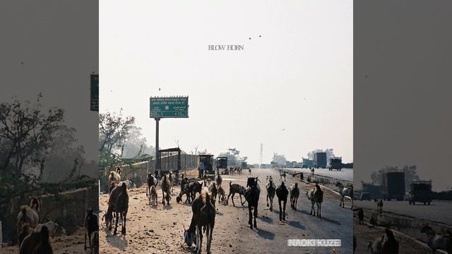 Apple juice смотреть онлайн