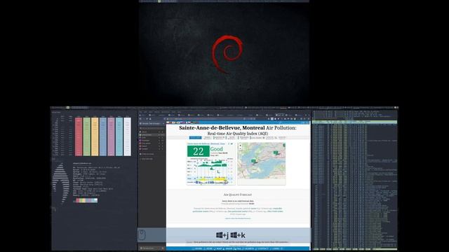 Demo Desktop Debian LeftWM Polybar #2 смотреть онлайн