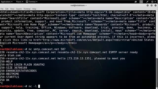 Basic Tools Netcat смотреть онлайн