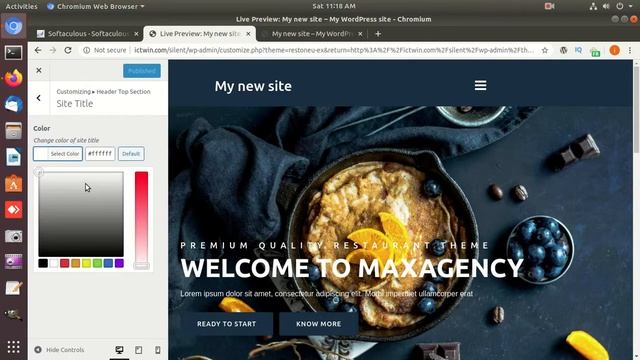 How to directed install wordpress using cPanel with customized. смотреть онлайн