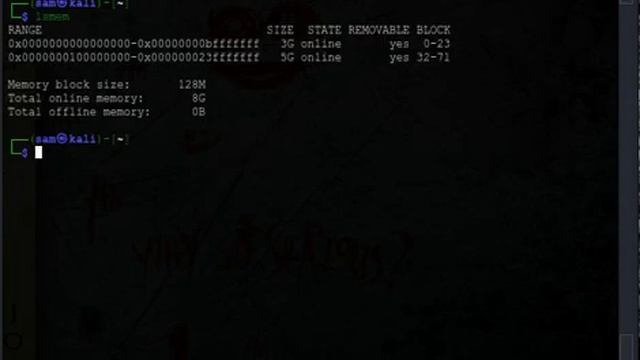 view installed memory(RAM) on your Linux machine смотреть онлайн