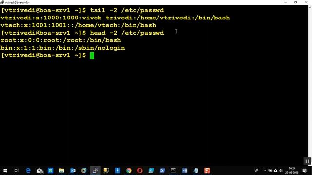 BasicCommands смотреть онлайн