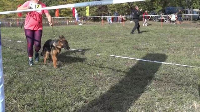 Моно Краснодар 2024 Южный Рубин. Атмосфера, эмоции, процесс.