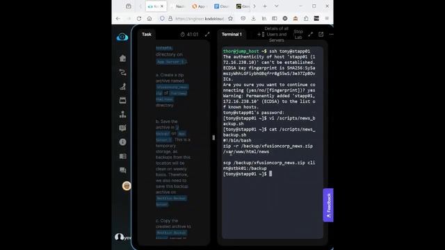 Linux Bash Scripting смотреть онлайн