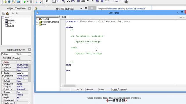7. curso de delphi desde cero - condicionales смотреть онлайн