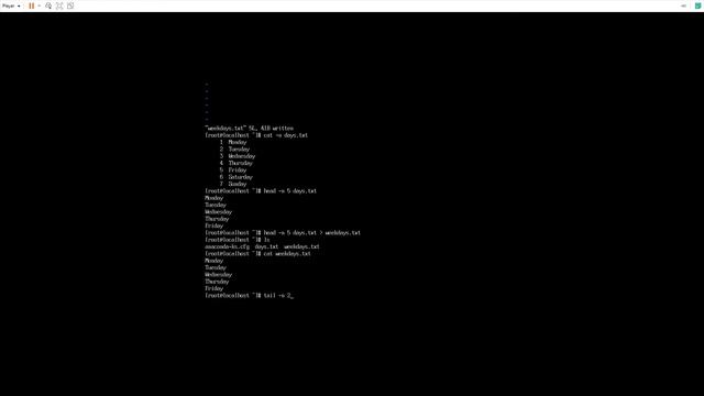 Controlling Command Outputs in Linux смотреть онлайн