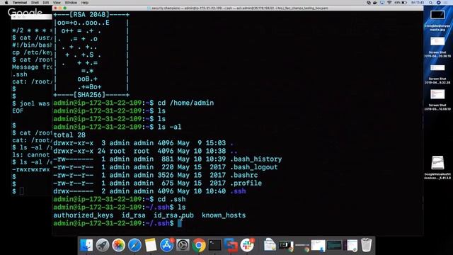 Security Champions - Session 1 - 10 May, 2019 смотреть онлайн