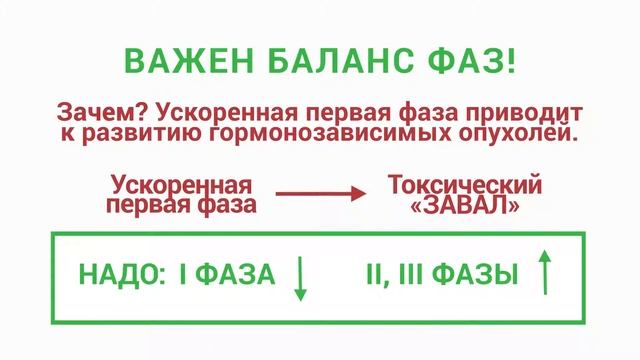 Видеоинтервью проекта «За кулисами красоты в Санкт Петербурге» — выпуск 4 смотреть онлайн