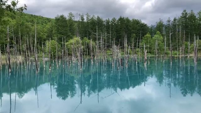 Shirogane Blue Pond ( Apple wallpaper “ Mountain Lion ” ) смотреть онлайн