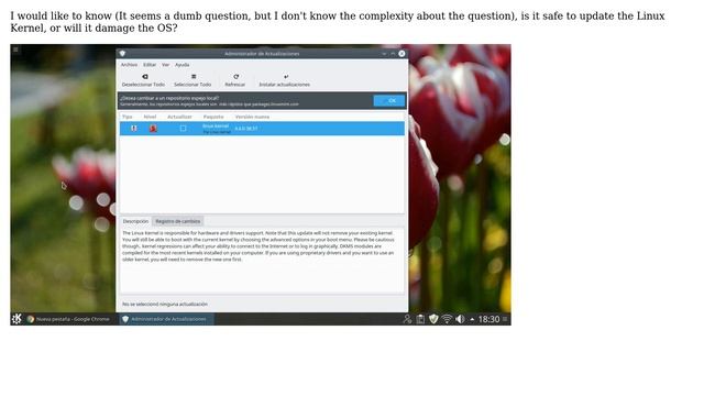 Update Linux Kernel is safe? смотреть онлайн