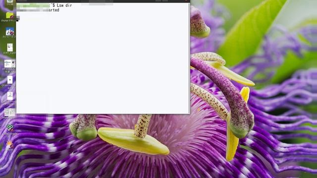 Lsw (Linux subsystem for Windows) смотреть онлайн