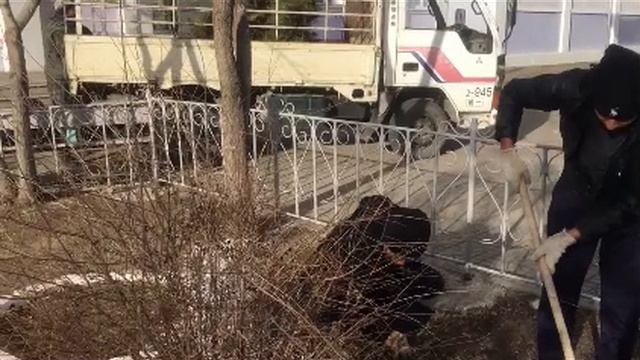 Проект "Школьный двор - наш общий труд" смотреть онлайн