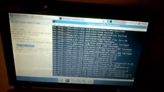 flash player in kali linux смотреть онлайн