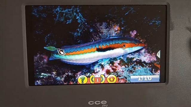 Teste GCompris 15.10-1+b1 - Debian Buster / LXDE / edUCA (UCA 2) смотреть онлайн