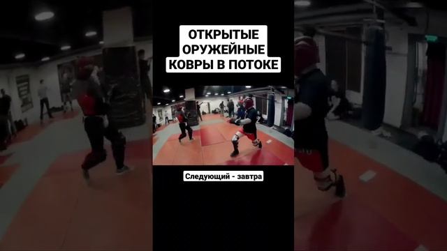 Открытые оружейные ковры в Потоке #shorts
