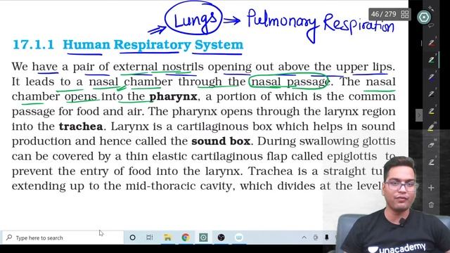 L1: Breathing and Exchange of Gases | NEET 2021 | UDAAN Batch Course | Dr. Hariom Gangwar смотреть онлайн