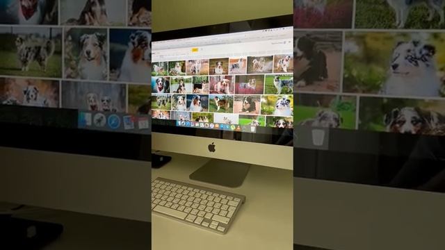 демонстрация работы iMac 21.5 смотреть онлайн