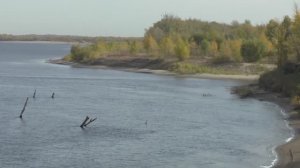 ЛОВЛЯ НА НАРЕЗКУ И ЖИВЦА В КОРЯЖНИКЕ! Рыбалка на судака с отводным поводком.