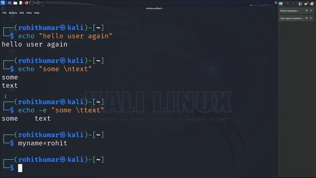 Linux Commands - echo ||Kali Linux||# kalilinux #coding #trend #hacking смотреть онлайн
