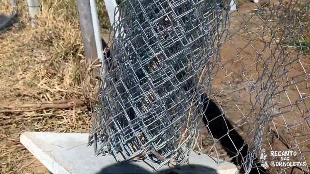 Como Emendar e Esticar Tela ALAMBRADO com catracas ? смотреть онлайн