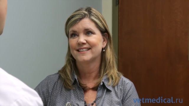 5 действий владельцев животных которые осложняют ветеринарную медицину смотреть онлайн