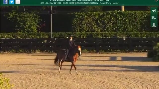 Sugarbrook Burnside ESP Finale 🥇 place смотреть онлайн