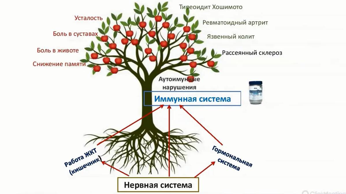 Аутоиммунные заболевания и трансфер фактор. смотреть онлайн
