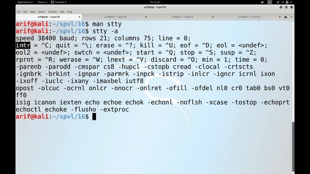 Lec16 Programming Terminal Devices (Arif Butt @ PUCIT) смотреть онлайн
