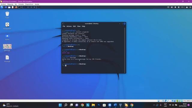 Esteganografia en Kali Linux (Fines educativos) смотреть онлайн