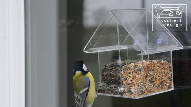 FB372 Bird feeder смотреть онлайн