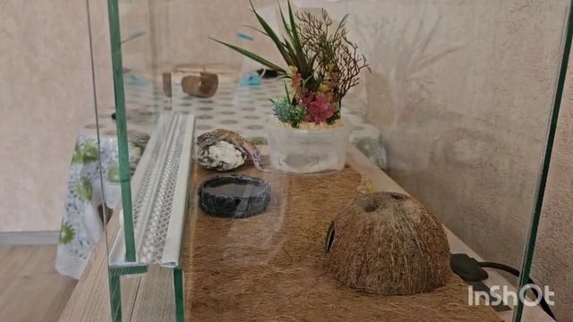 наш Паскаль.mp4