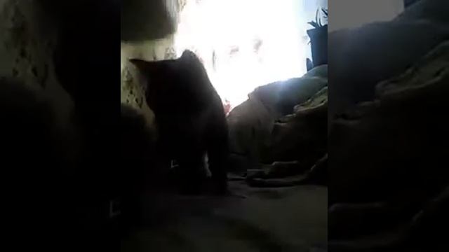 Стекло на айфон 4 смотреть онлайн