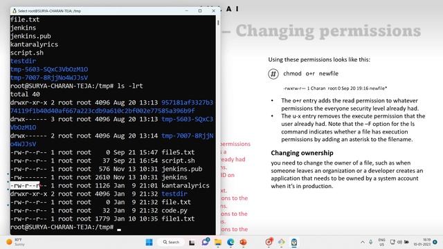 17 Linux Security permissions exercise смотреть онлайн