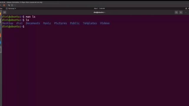 UNIX: DIRECTORY STRUCTURE (UBUNTU) смотреть онлайн