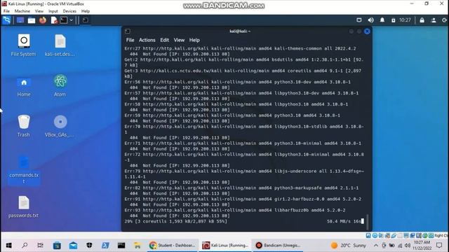 Update your Kali Linux Privileges || #linux #kali #linuxmaster #kalilinux #kalilinuxtools смотреть онлайн