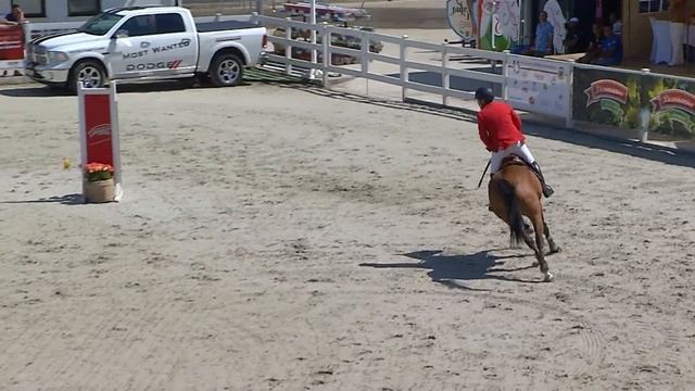 Nindoxello & Hasan Şentürk 9y.Gelding Nintender X Cento Balkan Championship Bulgaria смотреть онлайн