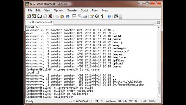 Raven/Sface GUI Demo #3 - Deploying Packages using Raven смотреть онлайн