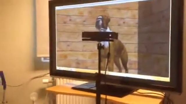 Virtual Window using Unity 5 and Kinect 2 - Dog смотреть онлайн