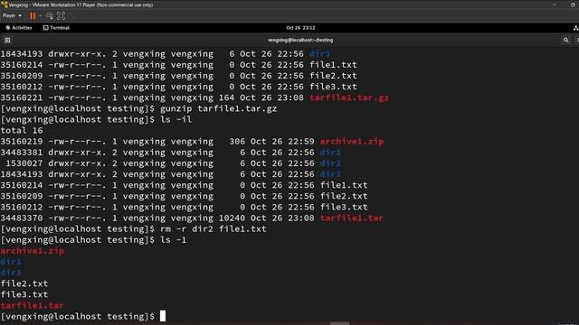 របៀបប្រើប្រាស់ zip, gzip, bzip2 នៅក្នុង Linux Terminal смотреть онлайн