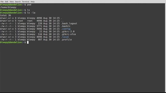 Lesson 1: Meet The Linux Command Line смотреть онлайн